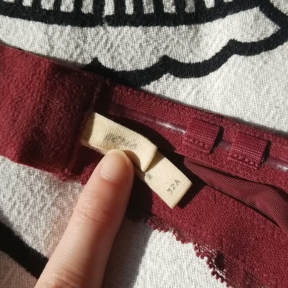 Aerie Push up Lace Bra - Picture 6 of 6